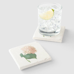 hortensia(Hydrangea sp.) by Redouté Stone Coaster
