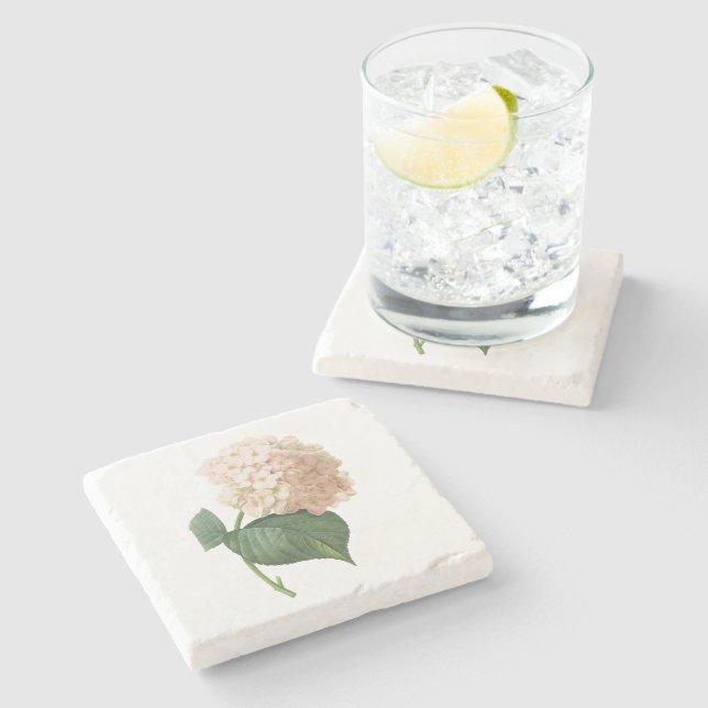 hortensia(Hydrangea sp.) by Redouté Stone Coaster (Side)