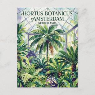 Hortus Botanicus Amsterdam Netherlands Postcard