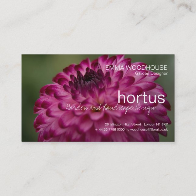 Hortus - carte de visite de dahlia (Devant)