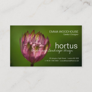 Hortus - Great Masterwort Business Card
