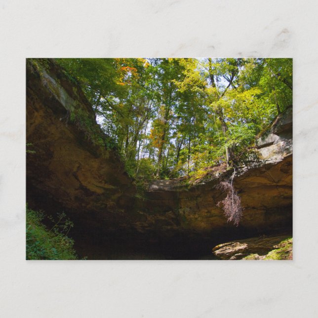 Hosak's Cave, Ohio Postcard (Front)
