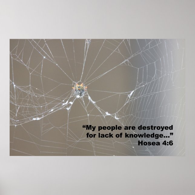 Hosea 4:6 Poster des Écritures, Version D (Devant)