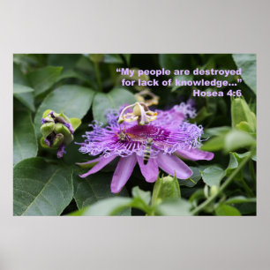 Hosea 4:6 Scripture Poster