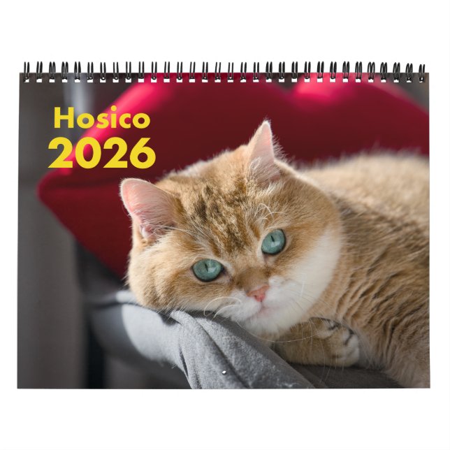 Hosico Calendar 2026 (Cover)
