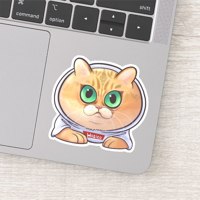 Hosico Cartoon (Detail)