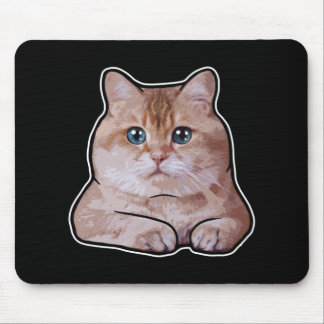 Hosico cat outlet bag