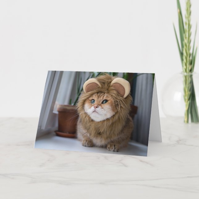 Hosico lion card (Front)