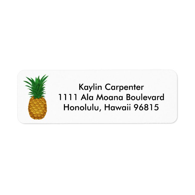 Hospitalité ananas (Devant)