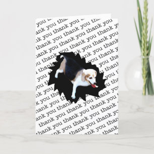 HOSPITALITÉ Merci #2