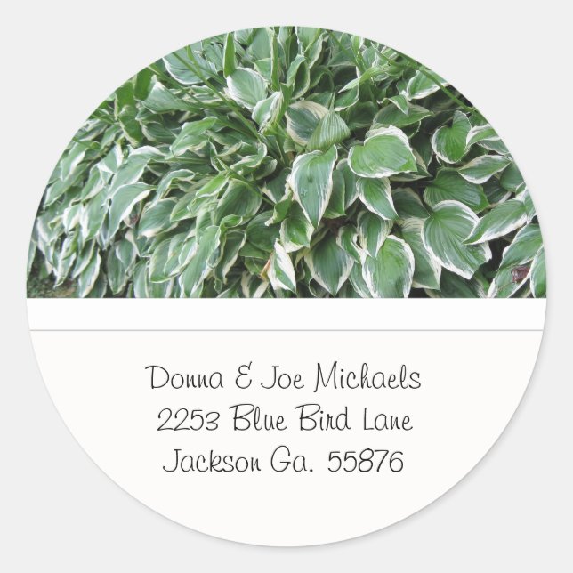 Hosta Address Stickers (Front)