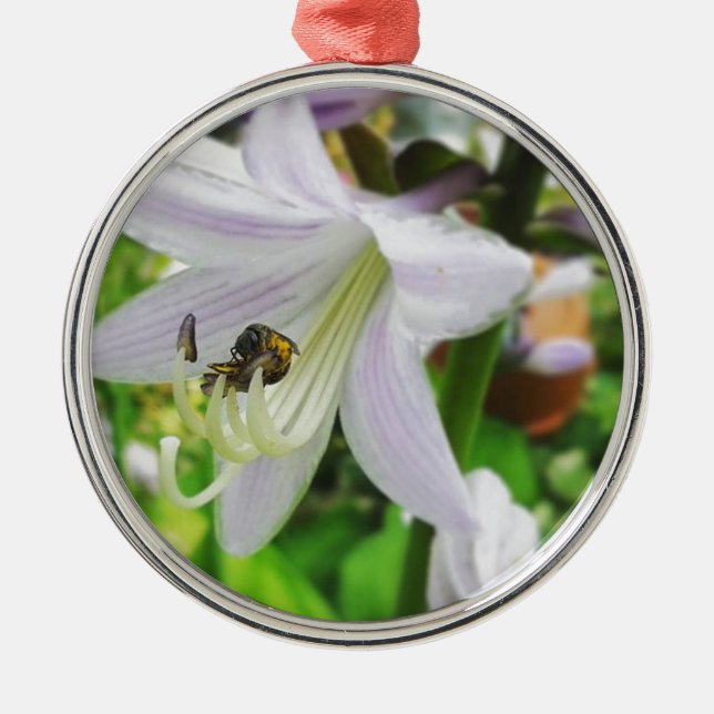 Hosta and an insect metal ornament (Front)