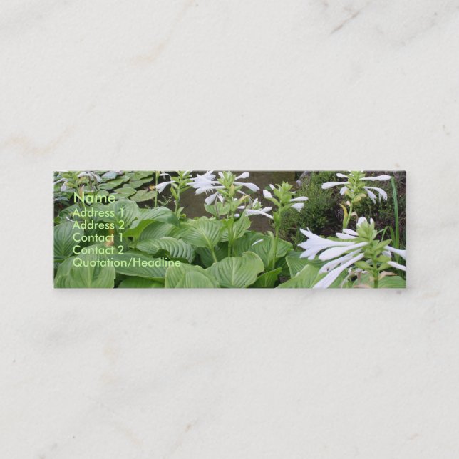 Hosta dans carte de visite du jardin 3 de zen un (Devant)