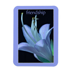 Hosta Flower Ornate Lavender Friendship Magnet