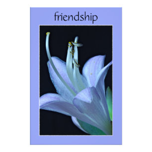 Hosta Flower Ornate Purple Friendship Photo Imprim