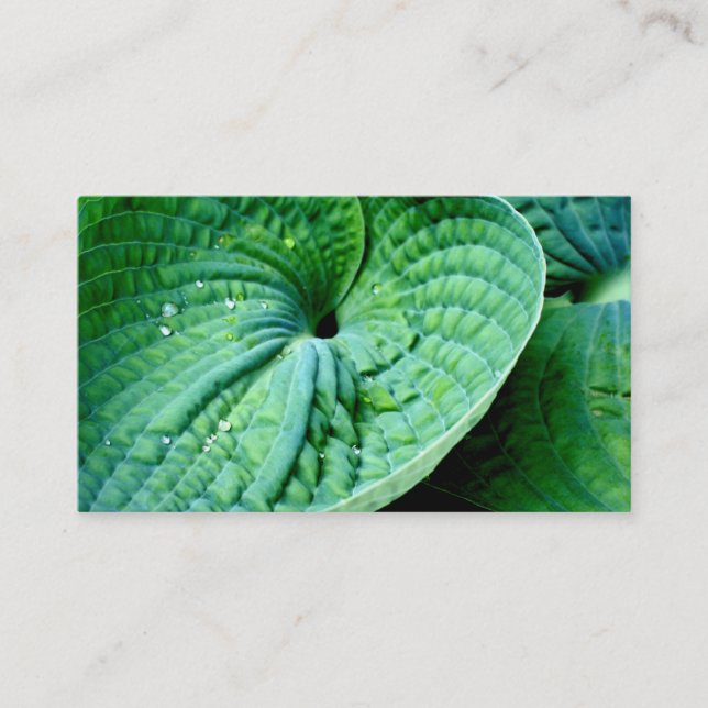 Hosta Heart Business Card (Front)