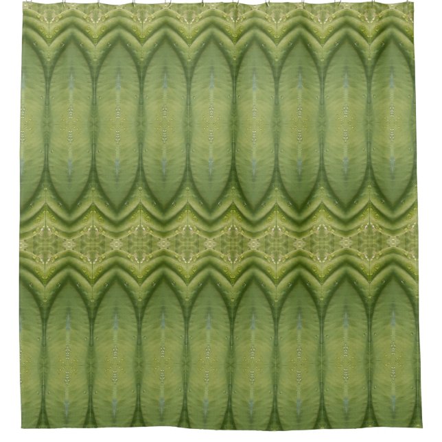 Hosta La Vista 2 (Front)