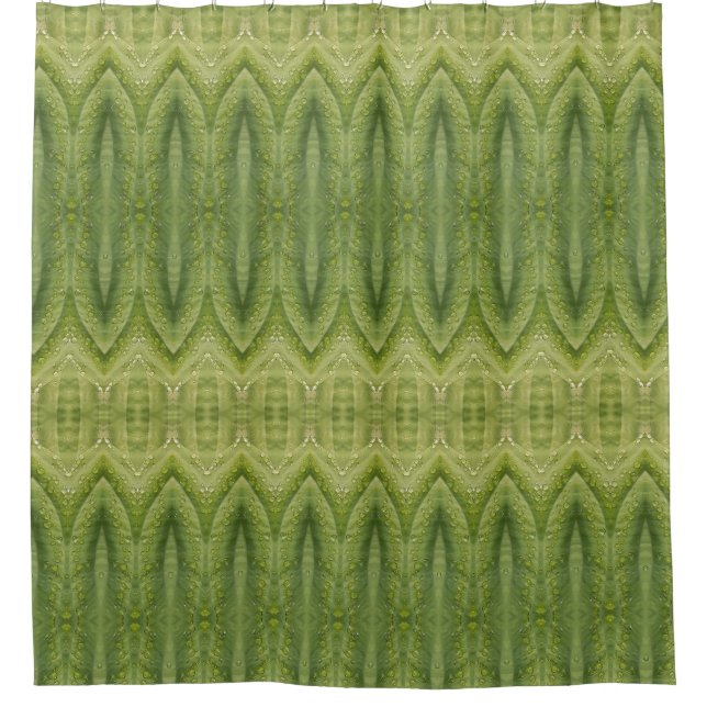 Hosta La Vista 3 (Front)