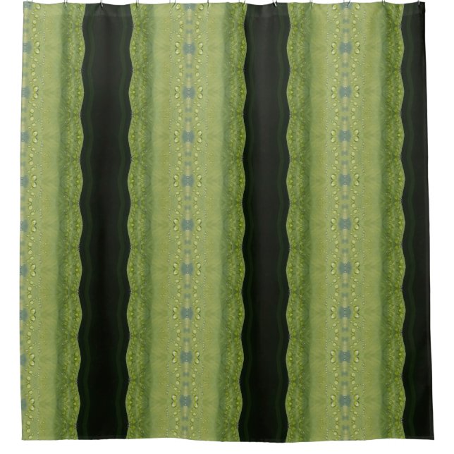 Hosta La Vista 9 (Front)