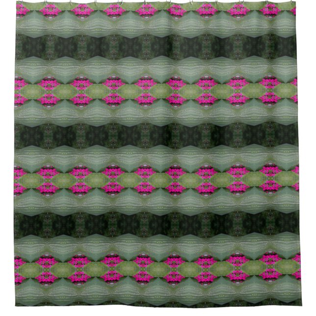 Hosta La Vista Too 2 (Front)