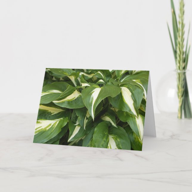 Hosta Leaves Card (Front)