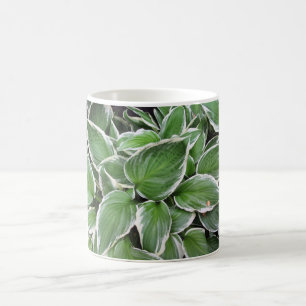 Hosta Leaves Coffee Mug