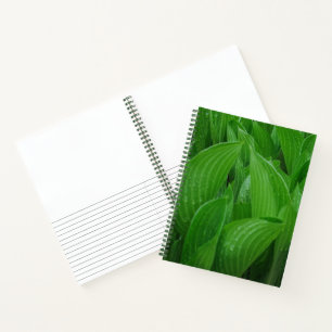Hosta Leaves with Raindrops Garden Notebook