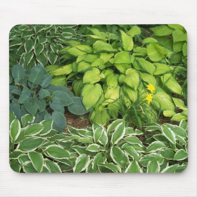 Hosta Mouse Pad (Front)
