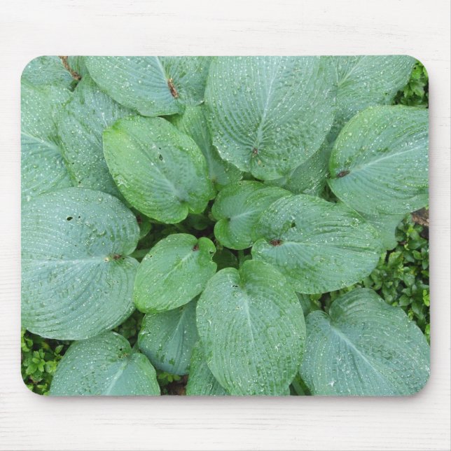 Hosta Mousepad (Front)