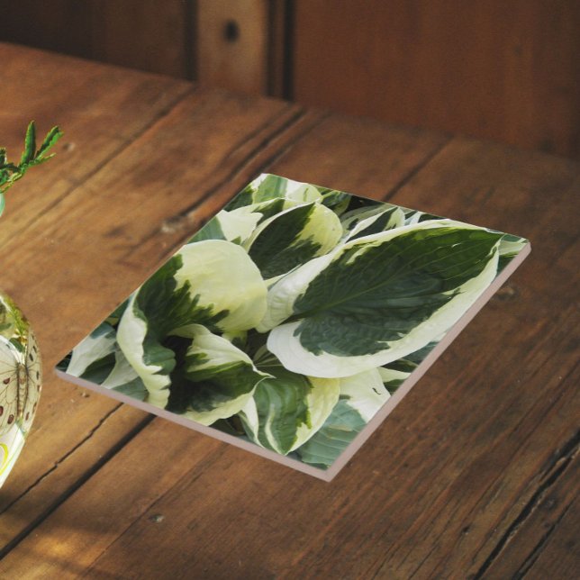 Hosta Plant Leaves Floral Tile (In Situ)