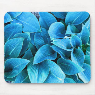 Hosta plant Mousepad