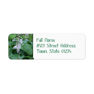 Hosta Plante Adresse de retour Étiquettes