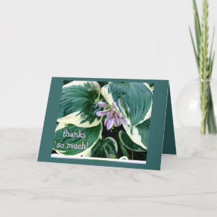 Hosta Thank you card