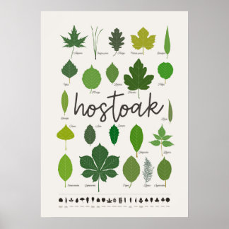 Hostoak · Hojas Poster