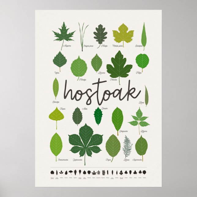 Hostoak · Hojas Poster (Front)