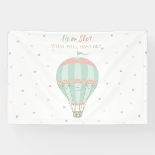 Hot air balloon Gender reveal Backdrop Banner