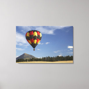 Hot Air Balloon near Wanaka, South Island, New Canvas Print