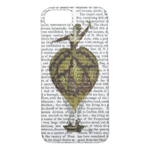 Hot Air Balloon Woman 1 Case-Mate iPhone Case