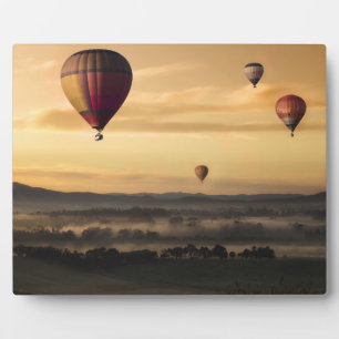 Hot air balloons plaque
