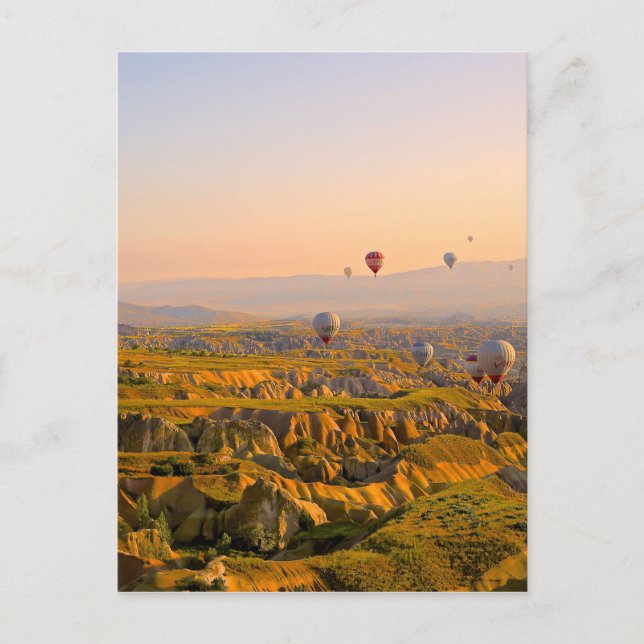 Hot Air Balloons Postcard (Front)