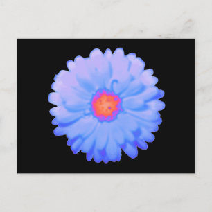 Hot and Cold Marigold Postcard