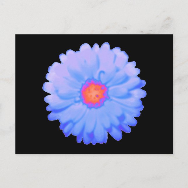 Hot and Cold Marigold Postcard (Front)