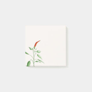 Hot Chili Pepper Plant Botanical Illustration Post-it Notes