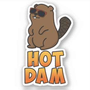 Hot Dam Funny Cool Beaver Pun