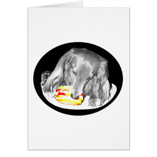 Hot Dog Attacks Cheeseburger, News At Eleven.