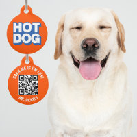 Hot Dog QR Code Lost