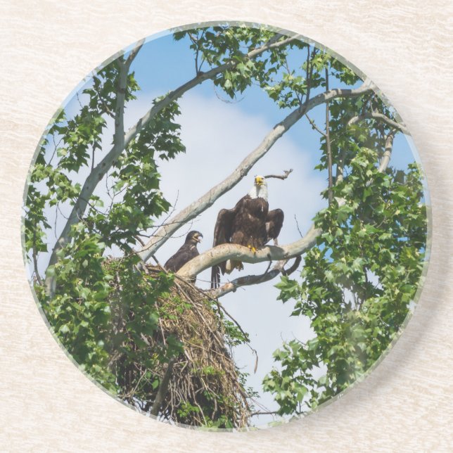 Hot Eagles Coaster (Front)