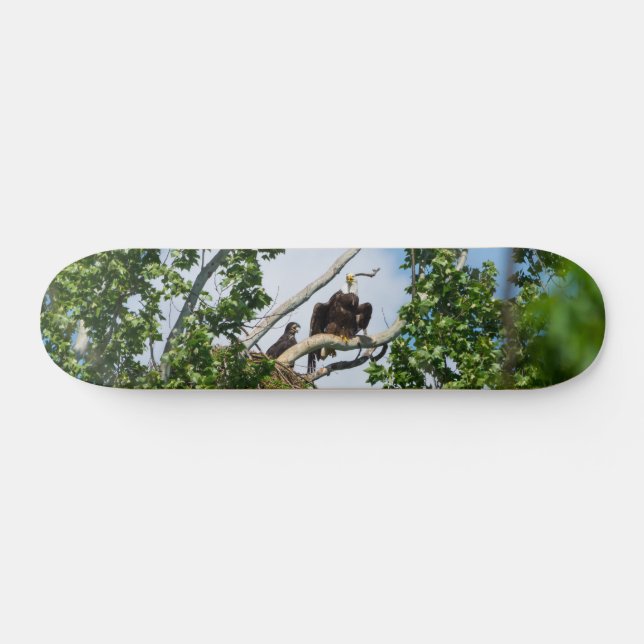 Hot Eagles Skateboard (Horz)