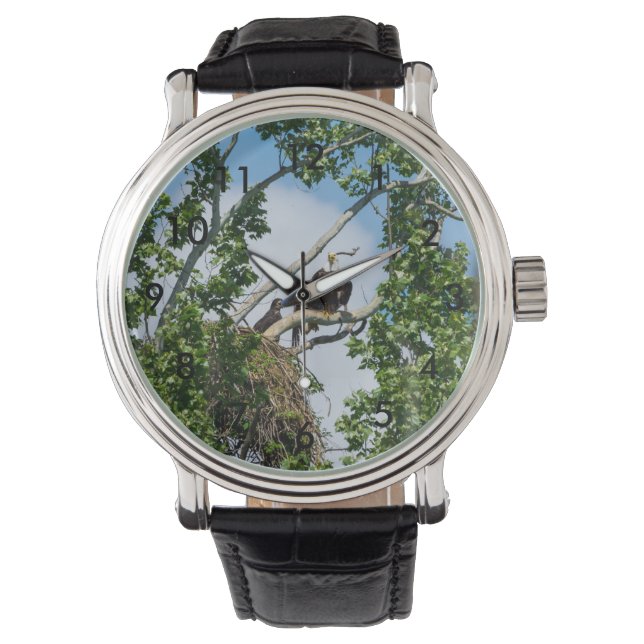 Hot Eagles Watch (Front)