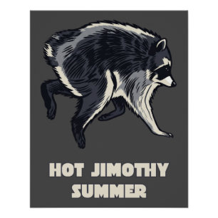 Hot Jimothy Summer Funny Raccoon Meme Animal Poster
